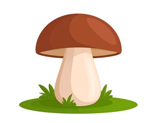 A single mushroom, brown cap, light beige stem, sits in grass