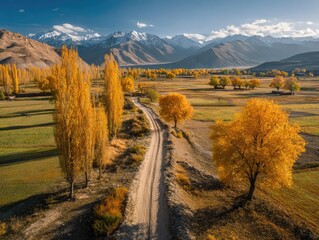 Autumnal valley scene, dirt road flanked by golden trees leading to snow-capped mountains under a clear sky