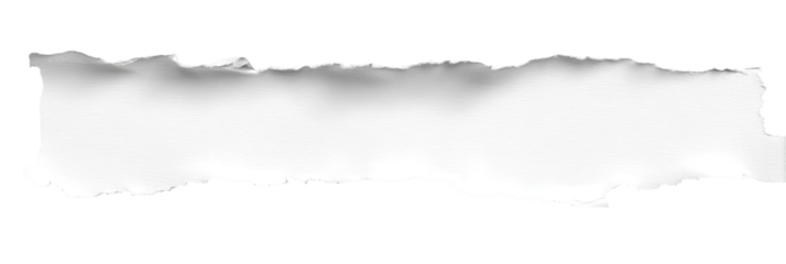 Torn Rectangular Blank