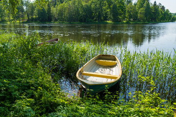 Small wooden boat tied among marsh grass on a calm lake with dense woodland background. A peaceful...