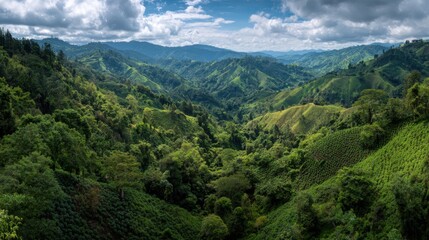 Fototapeta premium Rolling hills of vibrant green give way to a vast valley, framed by towering mountains. The sky is dotted with soft clouds, casting gentle shadows on the terrain.