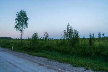 A peaceful gravel road winds through a lush forest landscape at twilight, with a full moon rising in a clear evening sky. Rural countryside scene with birch trees and natural wilderness