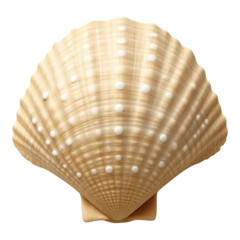 Fototapeta premium Detailed depiction of a scallop shell with a transparent background