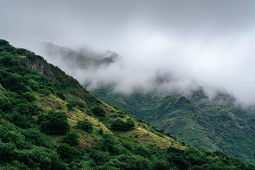 Misty mountain landscape, lush green hills shrouded in fog