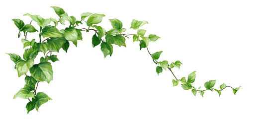 Ivy branch corner design