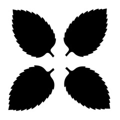 Beautiful and professional set of four leaves black silhouettes isolated on white background