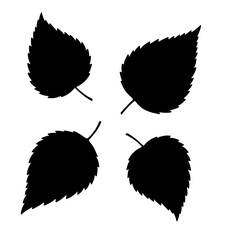 Beautiful and professional set of four leaves black silhouettes isolated on white background