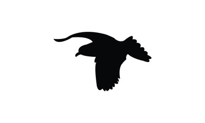 Flying American herring gull bird Silhouette Design  And Vector Illustration. 