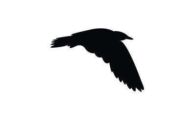 Flying American herring gull bird Silhouette Design  And Vector Illustration. 