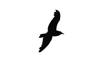 Fototapeta premium Flying American herring gull bird Silhouette Design And Vector Illustration. 