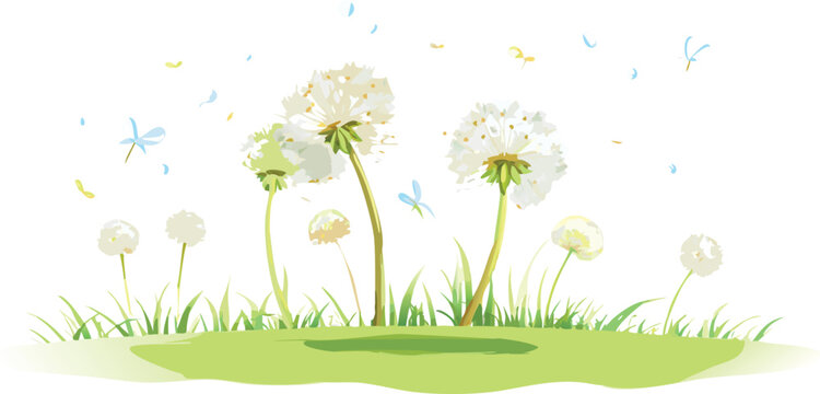 Sunny Field Covered with Abundant Yellow Dandelions and Lush Green Grass