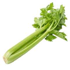 A bunch of fresh green celery stalks healthy vegetable isolated on a transparent background png