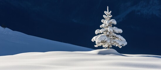 Solitary Snow-Covered Fir Tree Under Majestic Dark Blue Mountain Backdrop