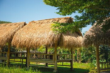 Traditional thatched huts are nestled in lush green surroundings