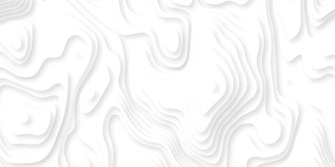Abstract background vector Abstract wavy line 3d paper cut white background. Abstract pattern with lines. Abstract sea map geographic contour map and topographic contours map background.	
