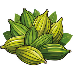 Cardamom vector color illustration. Arrangement of aromatic spice on isolated background for packaging and design.