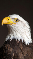 Close-up profile portrait of a majestic bald eagle on dark background symbolizing American patriotism strength and freedom in classic style