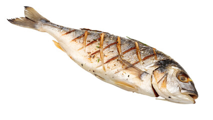Grilled fish isolated on white background 