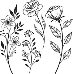 Black and white hand-drawn floral illustration set with daisy, rose, and leaves for craft and design use