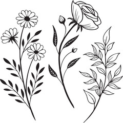Black and white hand-drawn floral illustration set with daisy, rose, and leaves for craft and design use