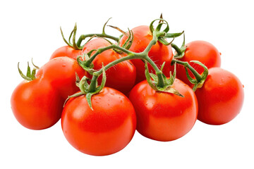 Fresh Cluster of Vine-Ripened Red Tomatoes with Water Droplets on Transparent Background