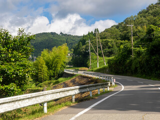 里山を通る道路沿いの景色