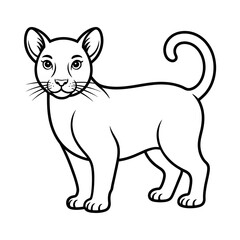 A lynx illustration vector style coloring page 