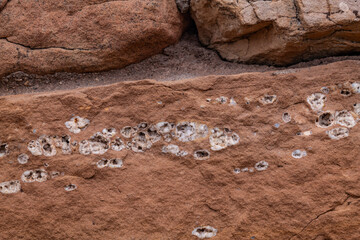 Chert  is a sedimentary rock. Kaibab Limestone / Kaibab Formation (Cisuralian). Harrisburg Member...