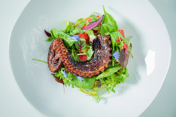 Grilled octopus atop a vibrant mixed greens and flower salad showcases culinary artistry © Maksim Shebeko