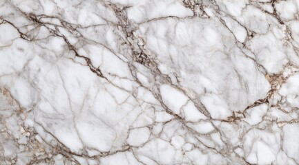 White marble texture with brown veining