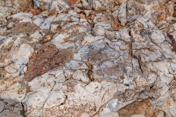 Chert  is a sedimentary rock. Kaibab Limestone / Kaibab Formation (Cisuralian). Harrisburg Member...