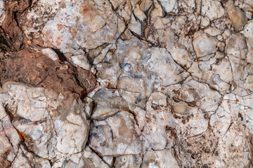 Chert  is a sedimentary rock. Kaibab Limestone / Kaibab Formation (Cisuralian). Harrisburg Member...