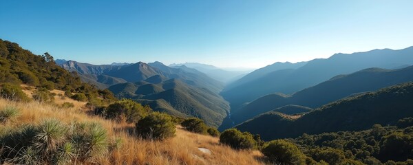 Expansive Tasmanian wilderness landscape under clear blue sky with sunlit golden dry grass, green bushes in foreground. Rolling green mountains with deep valleys stretch to horizon under bright clear