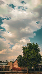 "Charming countryside scene with a large green tree, rustic brick buildings, and dramatic cloud-filled sky&mdash;ideal for rural landscape, nature, and outdoor lifestyle stock photography."