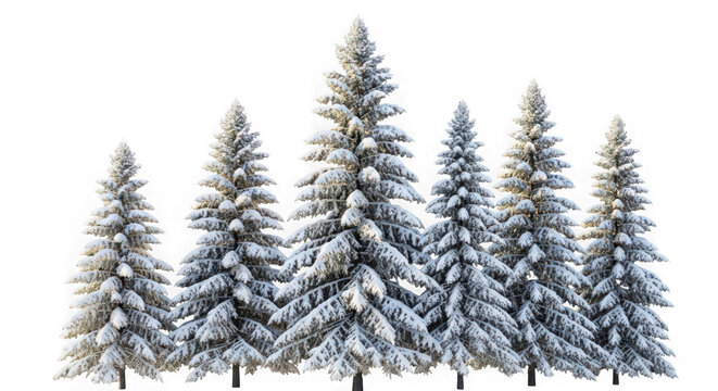 Ai generated image of a group of snowcovered evergreen trees isolated on white isolated on transparent background