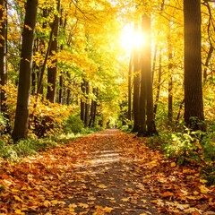 Obraz premium Autumn path through golden trees