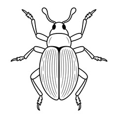A beetle illustration vector style coloring page 