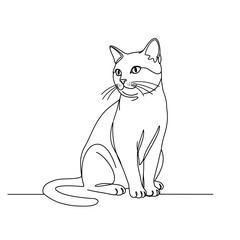 Elegant Feline Companion Sitting Gracefully Awaiting Affectionate Attention