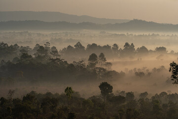 Misty sunrise over Thung Salaeng Luang National Park, Thailand – a breathtaking view of fog-covered pine forest with golden sunlight and mountain silhouette in the background