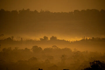 Misty sunrise over Thung Salaeng Luang National Park, Thailand – a breathtaking view of fog-covered pine forest with golden sunlight and mountain silhouette in the background