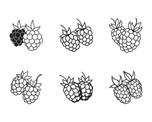 Raspberry Blackberry Vector Illustration Seamless Pattern Design Delicious Healthy Food Summer Fruit Berry Black and White Isolated