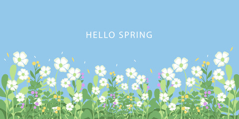 Spring or summer cards, banner with cute flowers. tropical Floral botanical art templates for holiday poster, Mother's Day, Easter and Birthday  invitation, social media post, cover, advertisement.