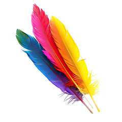 Vibrant, colorful feathers overlapping, displaying a spectrum of hues