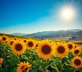 Fototapeta premium Sunflowers in a Field on a Sunny Day with Mountains