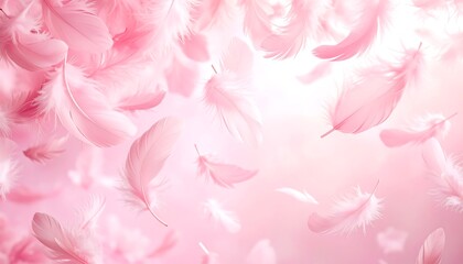 Delicate Pink Feathers Soft Motion