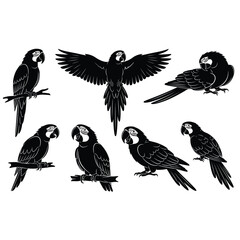 Obraz premium Collection of parrot macaw silhouettes in different poses. Vector illustration.