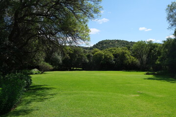 Lush Grassland at Free State National Botanical Garden, South Africa