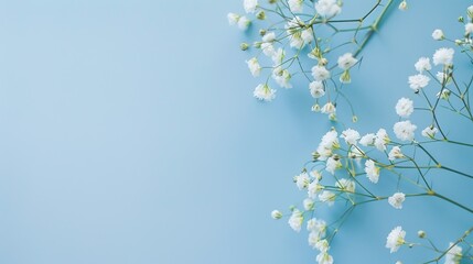 A soft blue background is adorned with delicate flowers, framed by ample white space—a fusion of tranquility and floral charm, with the flowers adding elegance to the calm blue canvas.