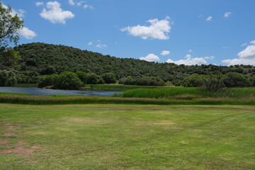 Lush Greenery at Free State National Botanical Garden, South Africa