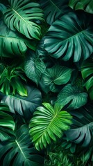 Lush Tropical Foliage Featuring Green Leaves Texture